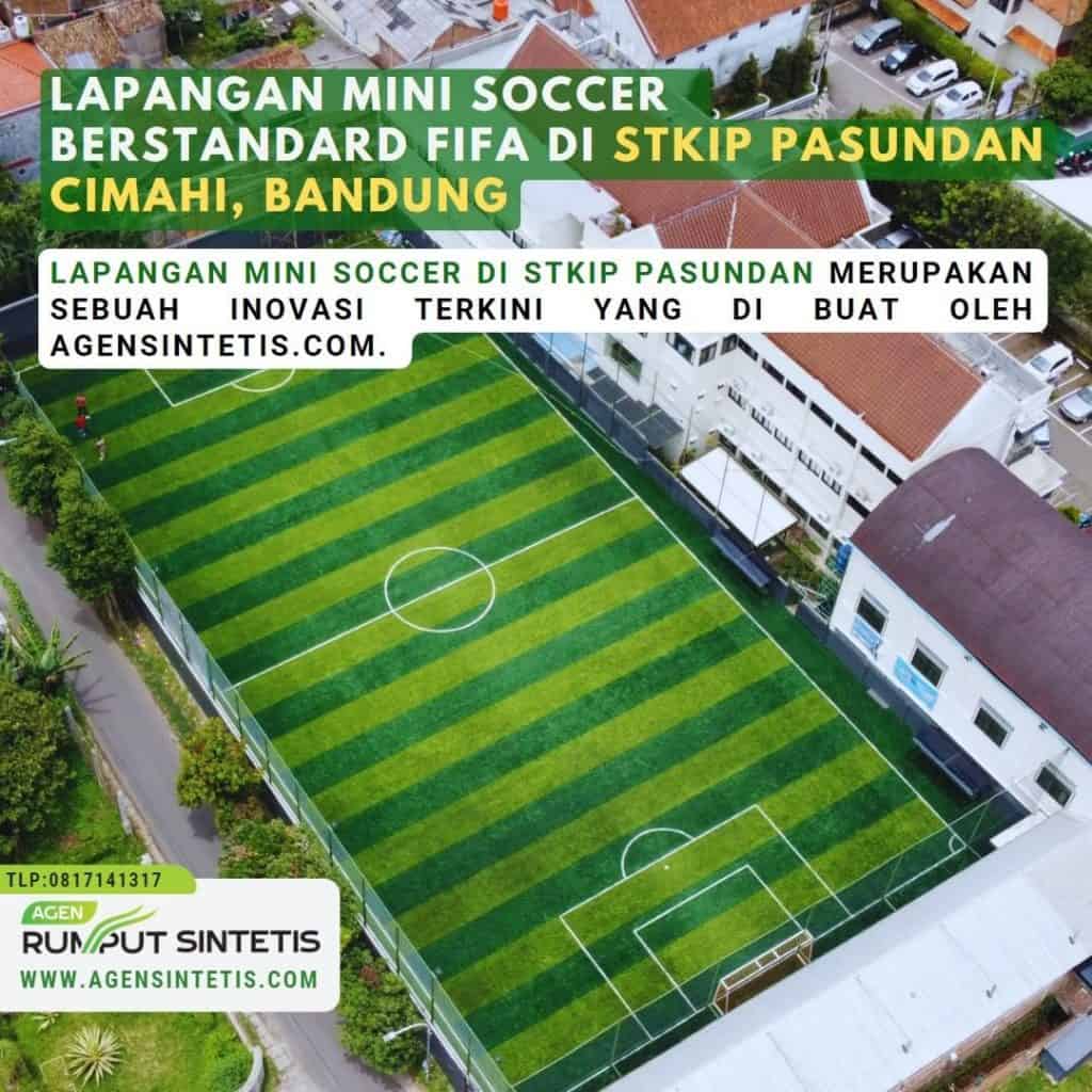 Jasa Pembuatan Lapangan Mini Soccer