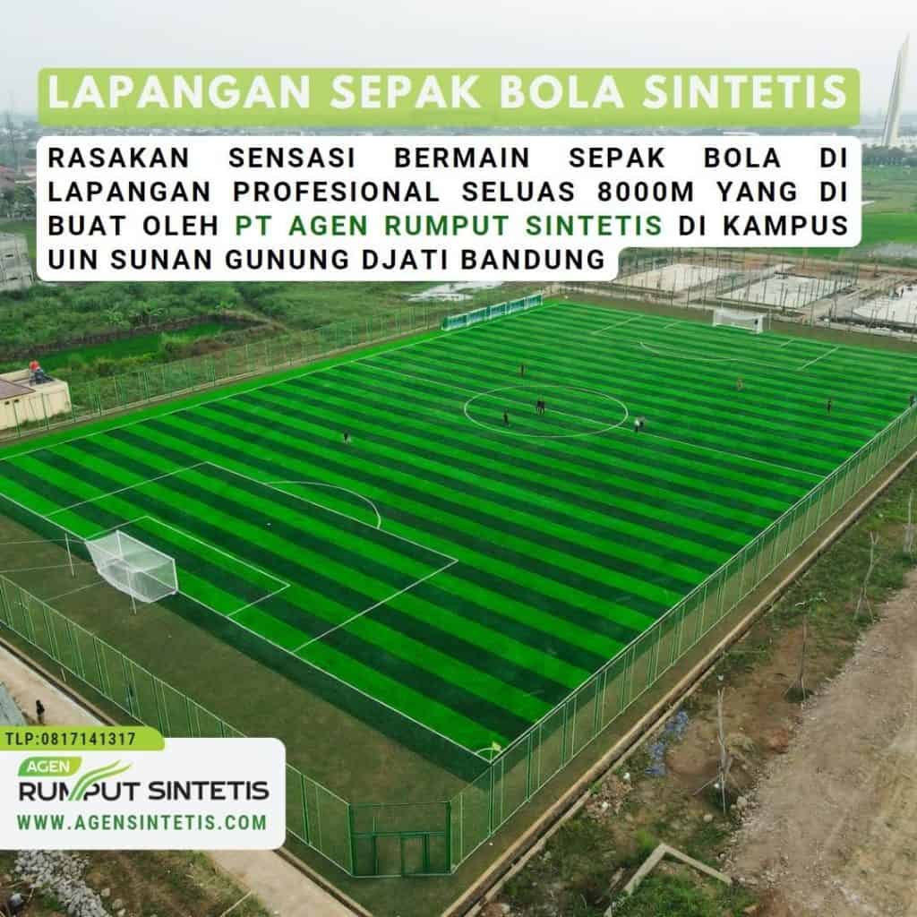 lapangan bola rumput sintetis UIN